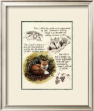 Buy Fox Study at AllPosters.com