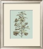 Buy Custom Imperial Munting I at AllPosters.com