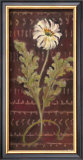 Buy African Daisy I at AllPosters.com