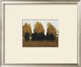 Buy Near Vado at AllPosters.com