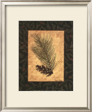 Buy White Pine at AllPosters.com