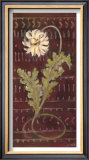 Buy African Daisy II at AllPosters.com