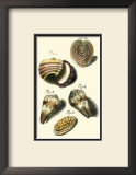 Buy Neptune's Treasure II at AllPosters.com
