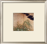Buy Flowering Plants of Summer at AllPosters.com