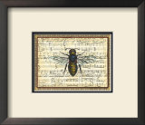 Bumblebee Harmony II