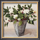 Buy Dogwood at AllPosters.com