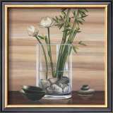 True Nature IV