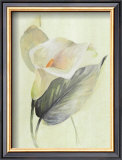 Buy Calla Lily III at AllPosters.com