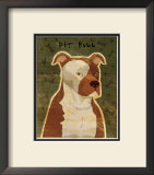 Pit Bull