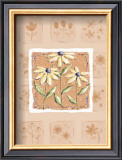 Buy Black-Eyed Susans at AllPosters.com