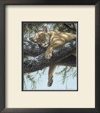 Buy Lake Manyara Lioness at AllPosters.com