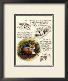 Buy Fox Study at AllPosters.com