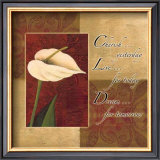 Buy Calla Lily, Cherish Live Dream at AllPosters.com