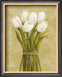Buy White Tulips in String at AllPosters.com