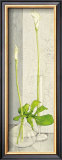 Buy Water Games at AllPosters.com