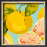 Buy Fresh Grapefruits at AllPosters.com