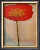 Papavero Framed Art Print