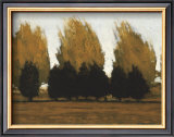 Buy Near Vado at AllPosters.com