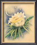 Buy Night Blooming Cereus at AllPosters.com