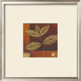 Buy Crimson Leaf Study II at AllPosters.com