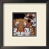Buy Sun Tigers at AllPosters.com