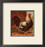 Buy Rose-Combed Dorking Cock at AllPosters.com