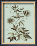 Buy Custom Imperial Munting III at AllPosters.com
