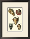 Buy Neptune's Treasure I at AllPosters.com