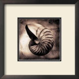 Buy Nautilus at AllPosters.com