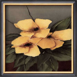 Buy Yellow Flowers II at AllPosters.com