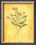 Buy Country Flowers II at AllPosters.com