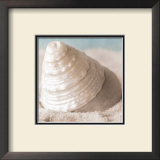 Buy Treasures of the Sea IV at AllPosters.com