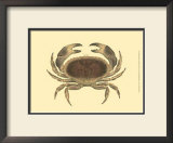 Buy Antique Crab IV at AllPosters.com
