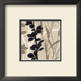 Buy Botanical Elements IV at AllPosters.com