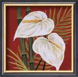 Buy Sun Kissed I at AllPosters.com