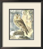 Buy Night Guardian II at AllPosters.com