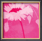 Buy Boshoku at AllPosters.com