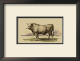 Buy Antique Cow I at AllPosters.com