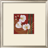 Buy Sun Kissed II at AllPosters.com