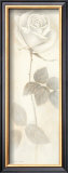 Buy Armonia con Sentimento at AllPosters.com