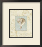 Soothing Words Shells IV