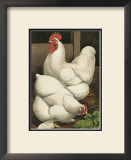 Buy Roosters I at AllPosters.com
