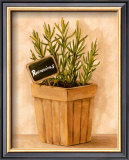 Buy Rosmarinus at AllPosters.com