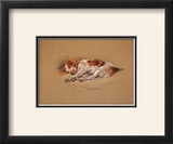 Buy Judy, a Spaniel Puppy at AllPosters.com