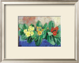 Buy Polyanthus at AllPosters.com