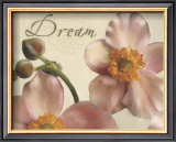 Dream