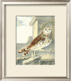 Buy Night Guardian III at AllPosters.com