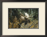 Buy Calm Before the Challenge at AllPosters.com