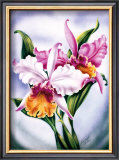 Buy Pink Orchid at AllPosters.com