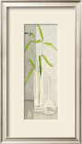Buy Vicinity at AllPosters.com